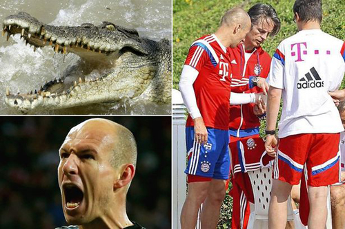 robben, Arjen Robben, robben bị cá sấu cắn, robben cụt tay